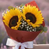 The Heartfelt Harmony Duo Sunflower & Baby's Breath Bouquet – photo 4