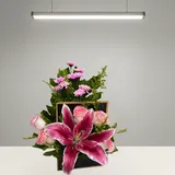Your Message in Bloom – photo 2