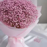 Deluxe Pink Baby's Breath Hand Bouquet – photo 3