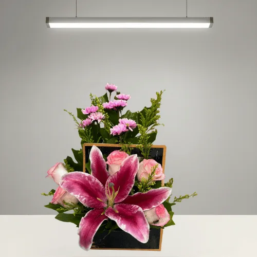 Your Message in Bloom