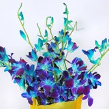 Vibrant Blue Orchid Bouquet with Yellow Wrap – photo 2