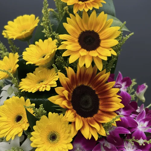 Premium Sunflower Basket Arrangement – Elegant Gift Bouquet
