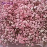 The Blush Dream Oversized Light Pink Baby's Breath Bouquet – photo 3