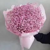 Deluxe Pink Baby's Breath Hand Bouquet – photo 1